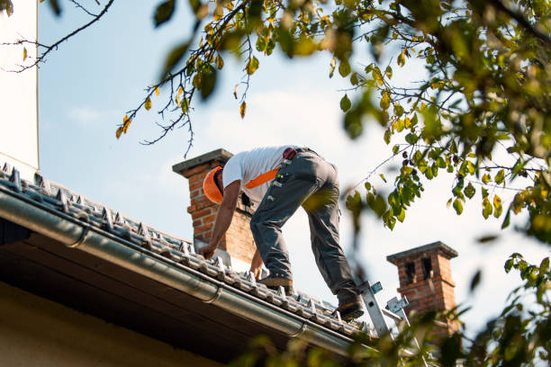 Best Roof Gutter Cleaning  in Pardeeville, WI