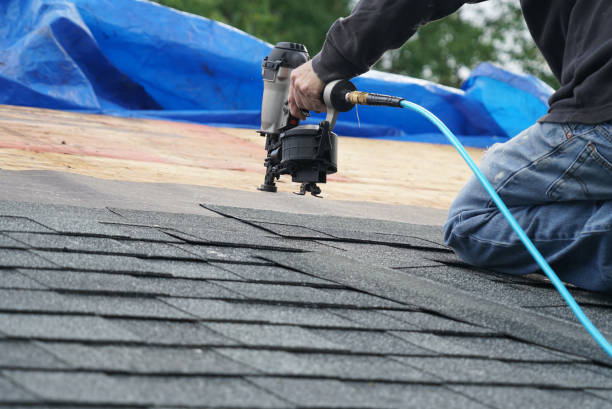 Best Roof Waterproofing Services  in Pardeeville, WI